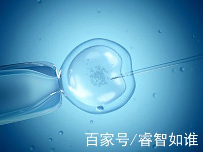 实验室 Fig.01